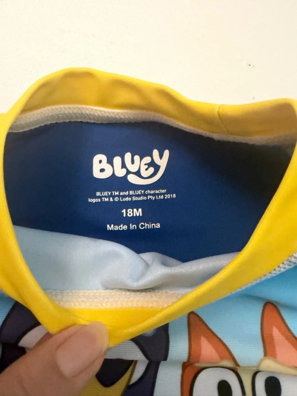 Bluey Rash Guard Swim Shorts Top 50+ UPF Travel Beach Pool Set 2 Kids 18 Month
